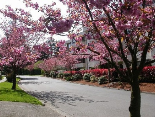 Glen Acres Drive Glen Acres Drive